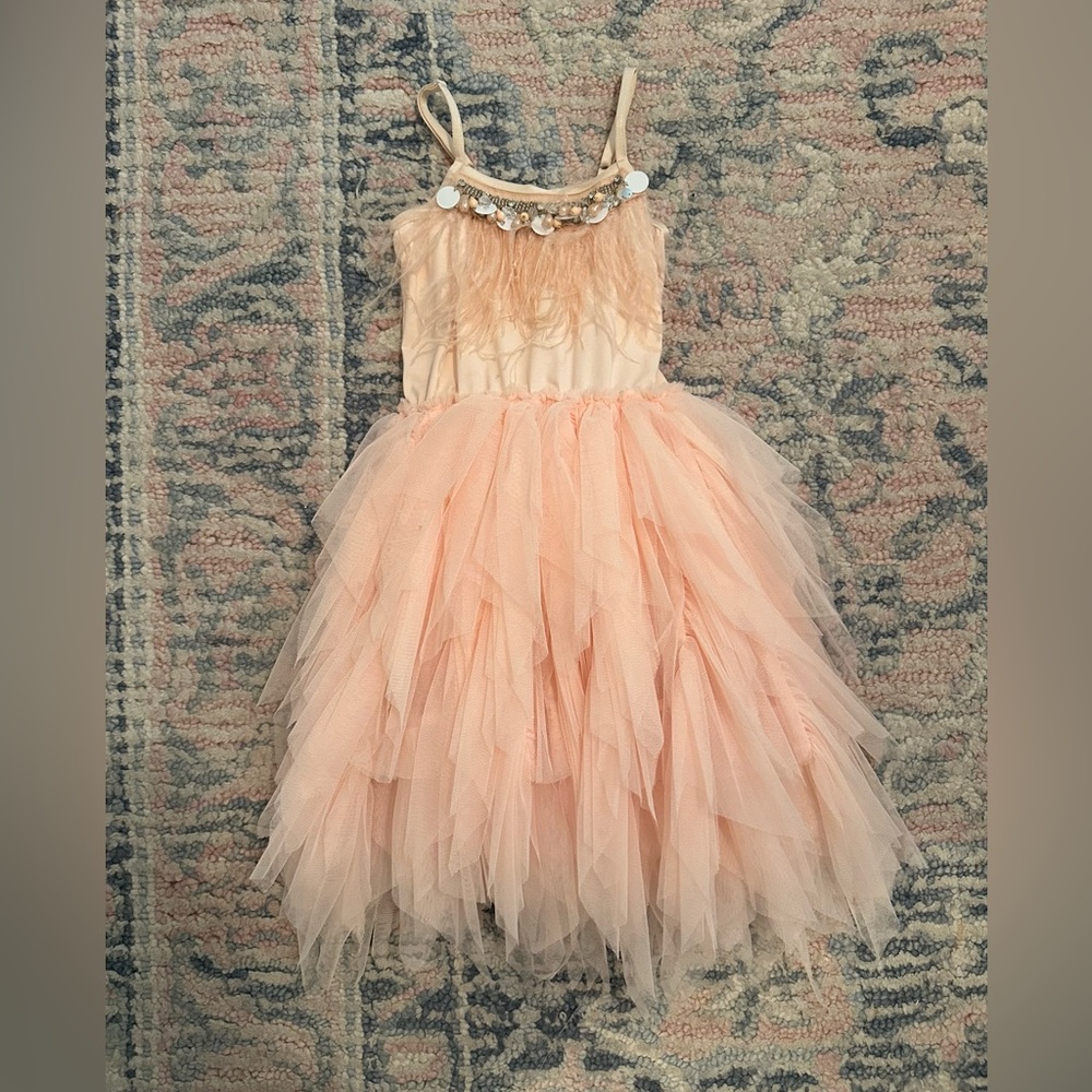 Peach Tulle Party Dress with Feather Detail